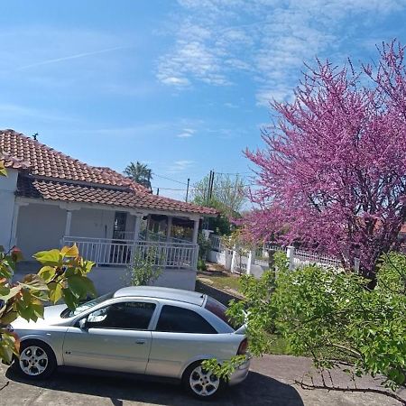 Vasiliki'S Guest House Vergia ภายนอก รูปภาพ